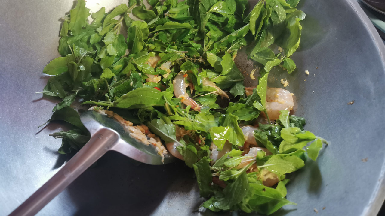 สรรพคุณของกระเพรา