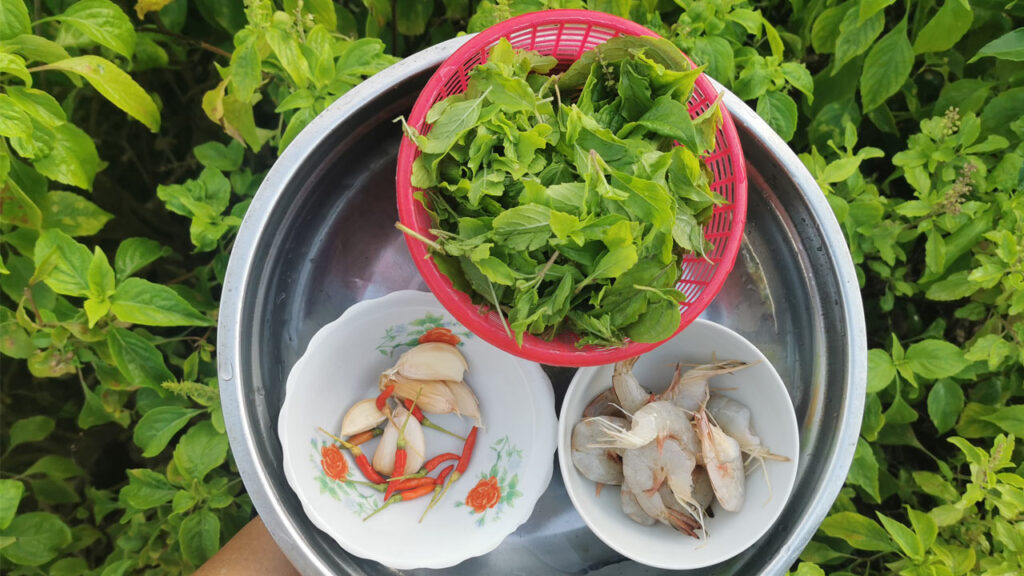 ผัดกะเพรา