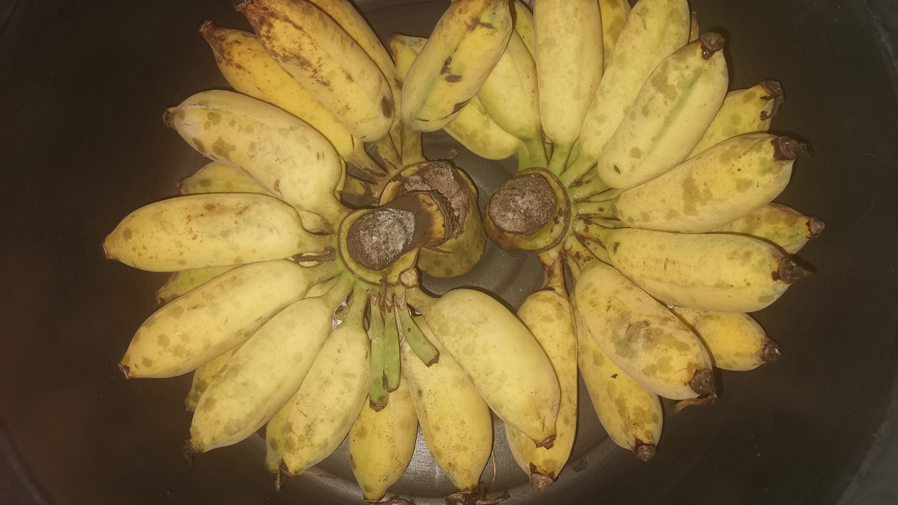 กล้วยน้ำว้า