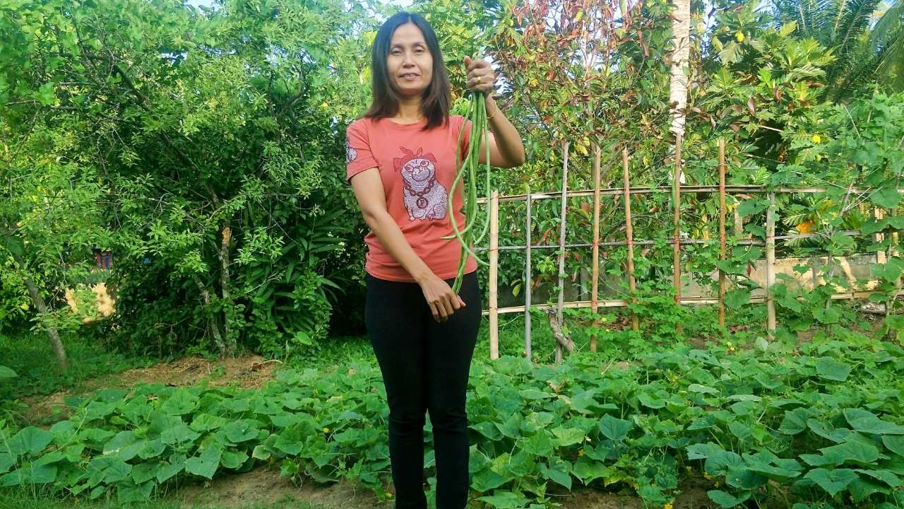 ทำสวนพอเพียง