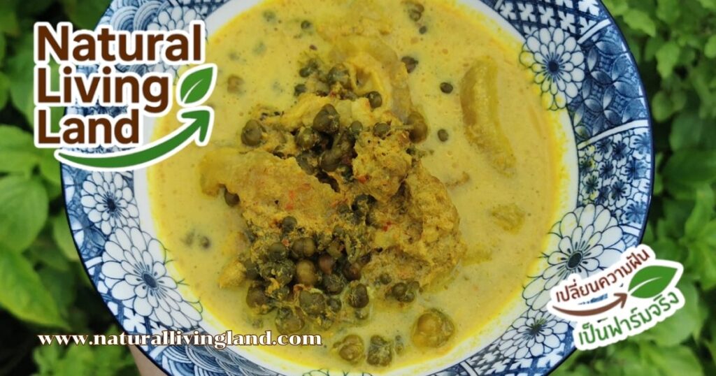 ขี้เหล็ก