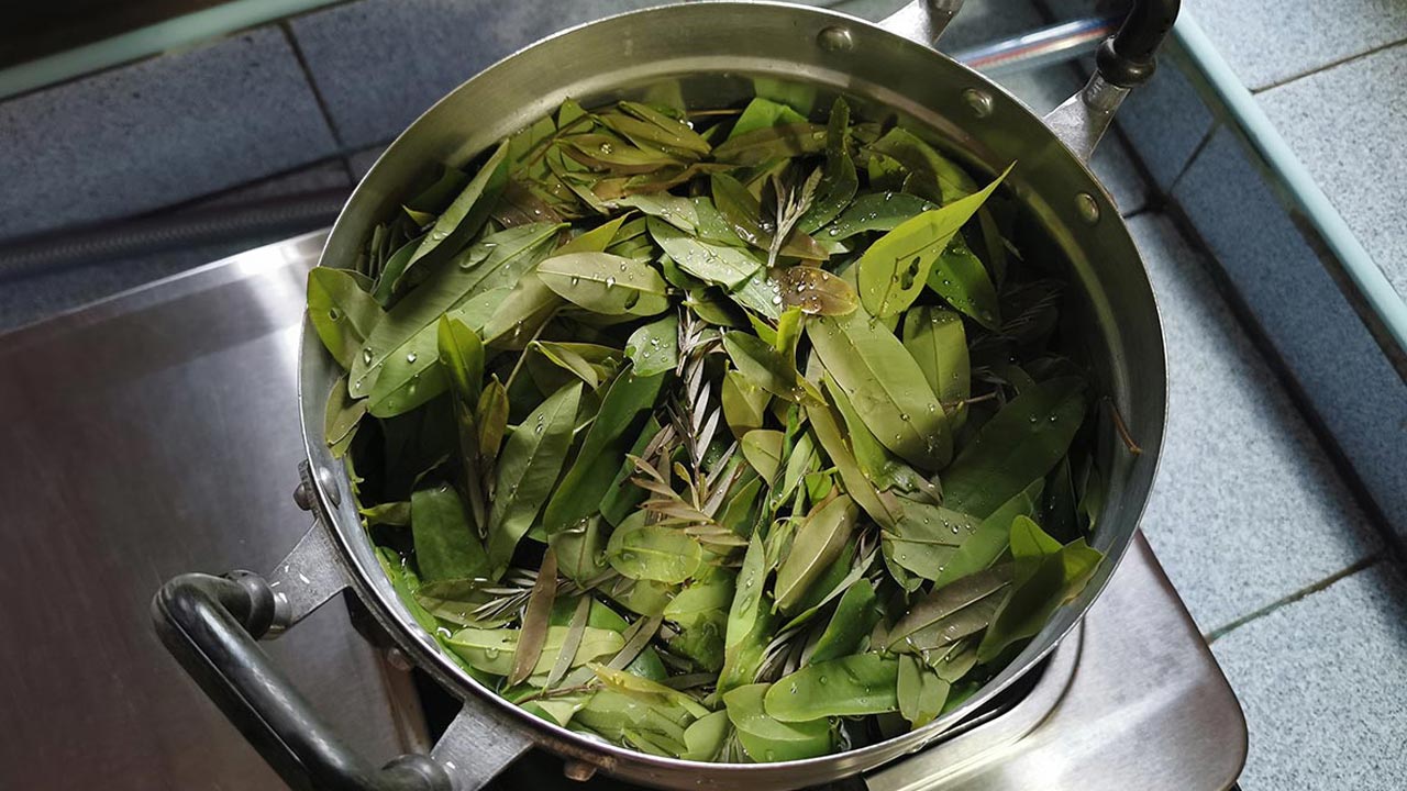 ใบขี้เหล็ก