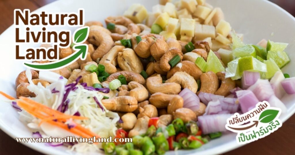 มะม่วงหิมพานต์