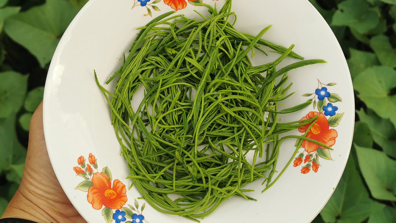 เคล็ดลับการเก็บชะอม