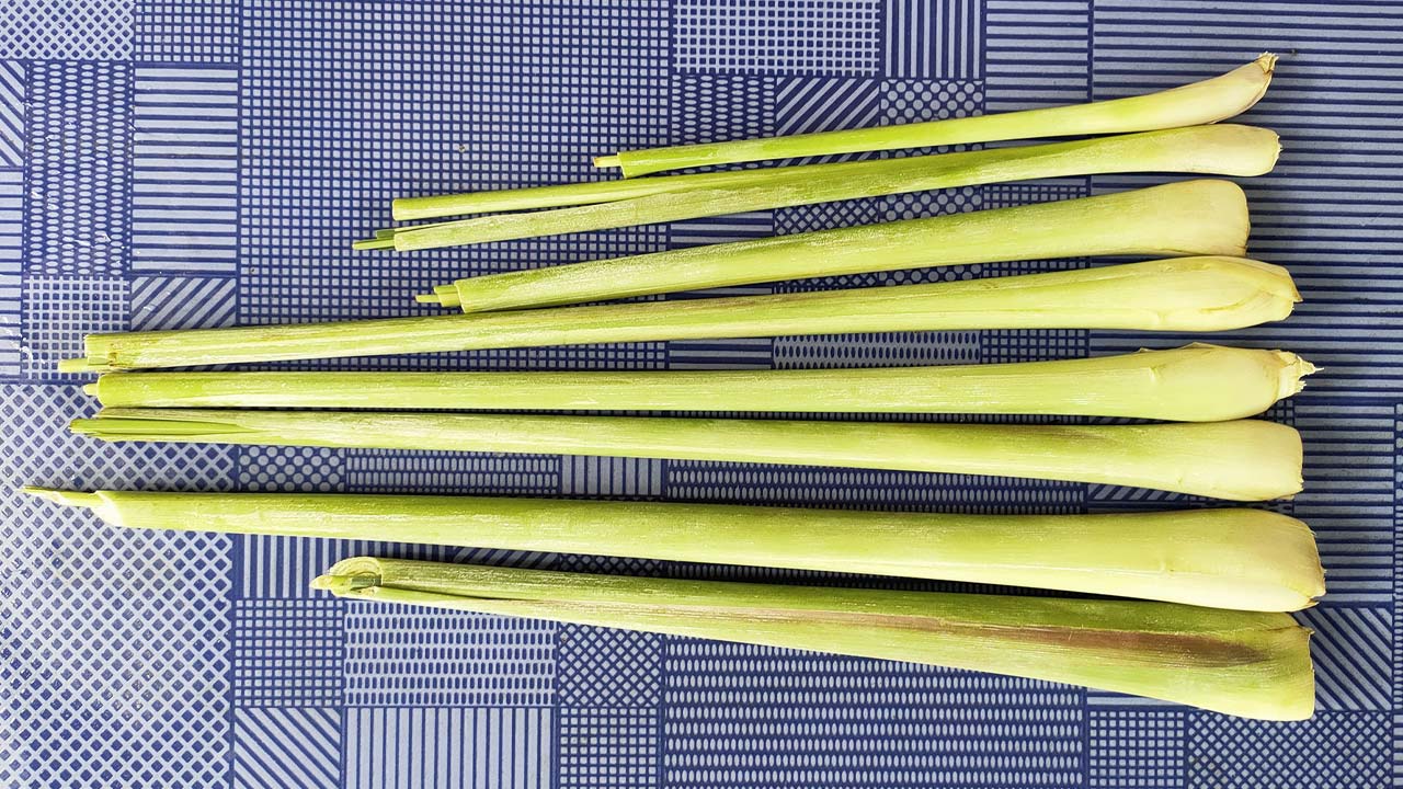 ประโยชน์จากตะไคร้