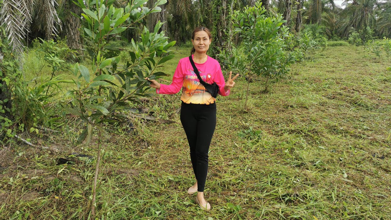 ที่ดินโครงการบ้านสวนในวัยเกษียณอายุ