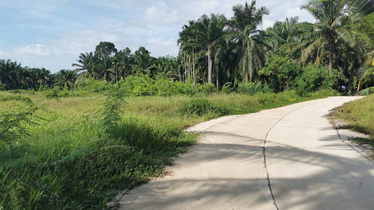 ขายที่ดินติดน้ำ ทำบ้านสวน