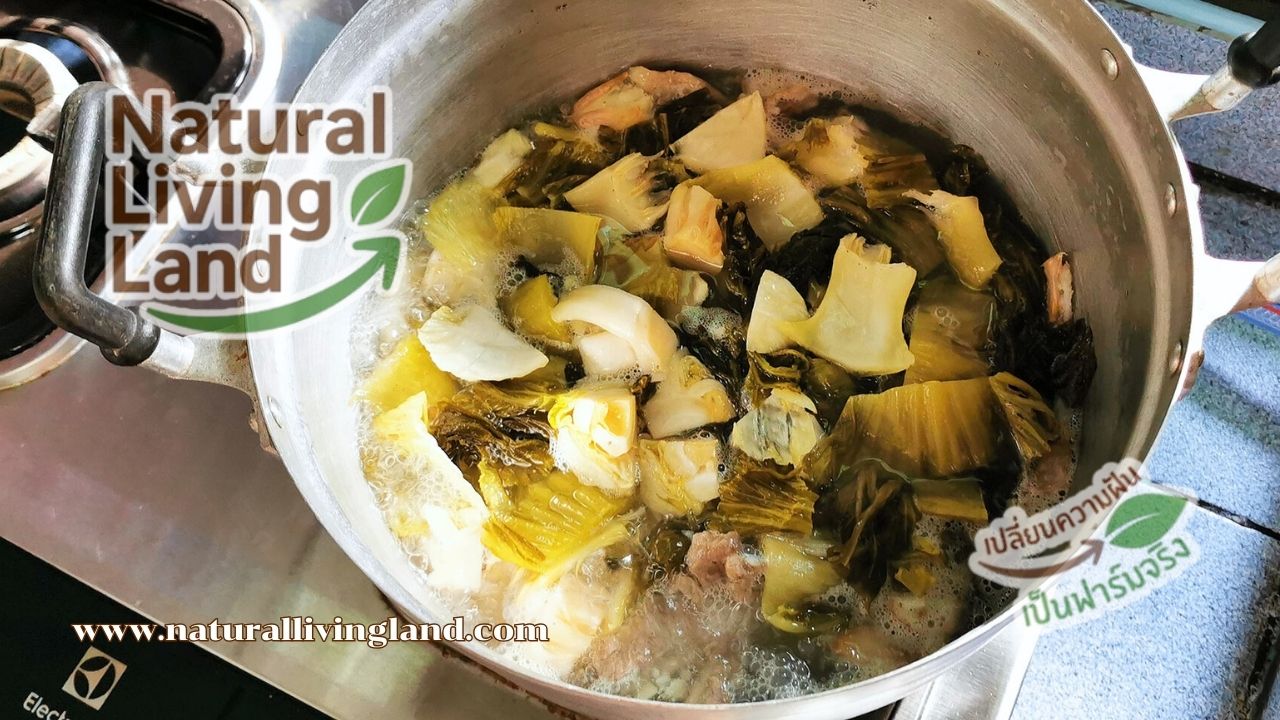 กระดูกหมูต้มผักกาดดอง