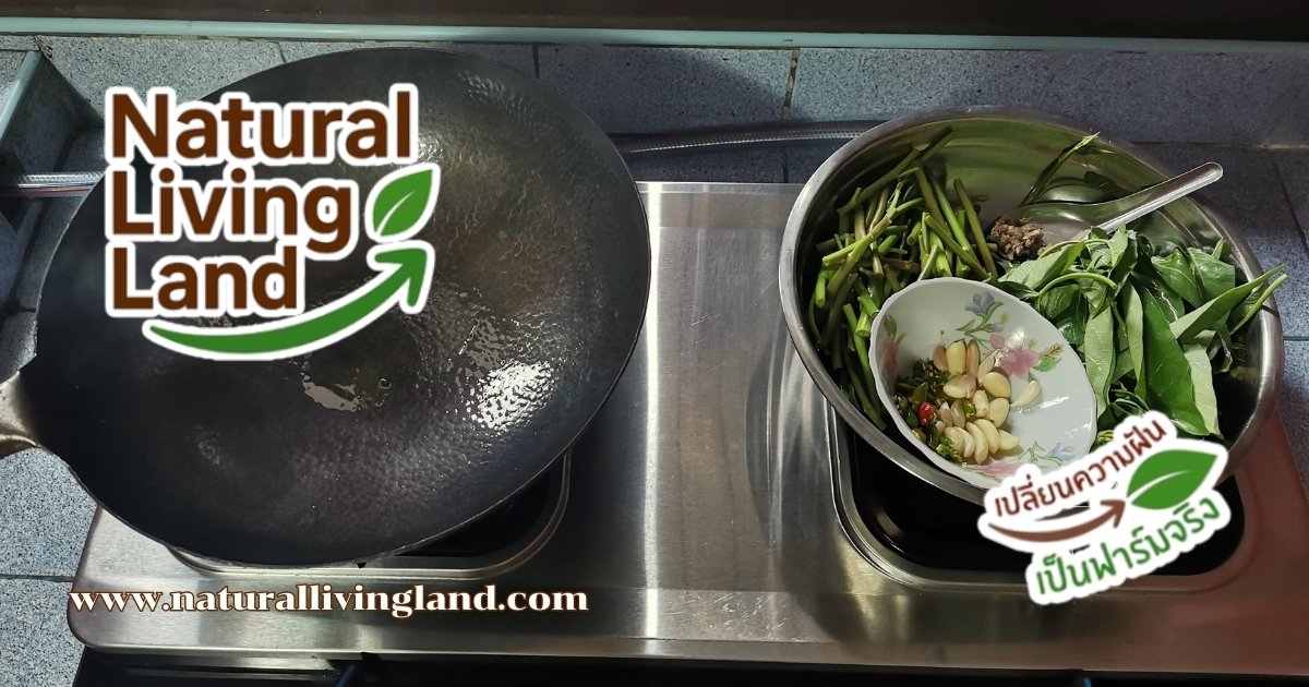 ทำผัดผักบุ้ง