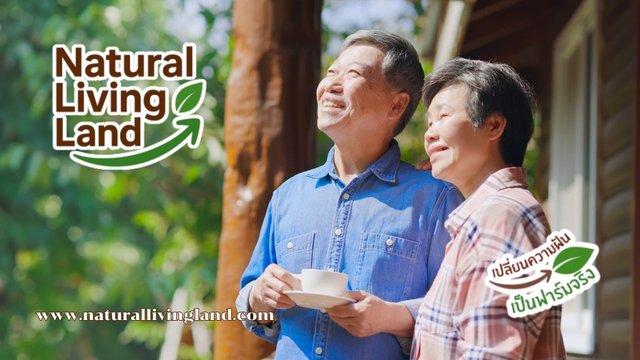 วางแผนเกษียณอายุ