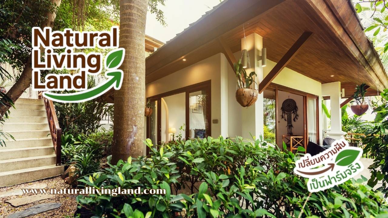 โครงการบ้านสวน