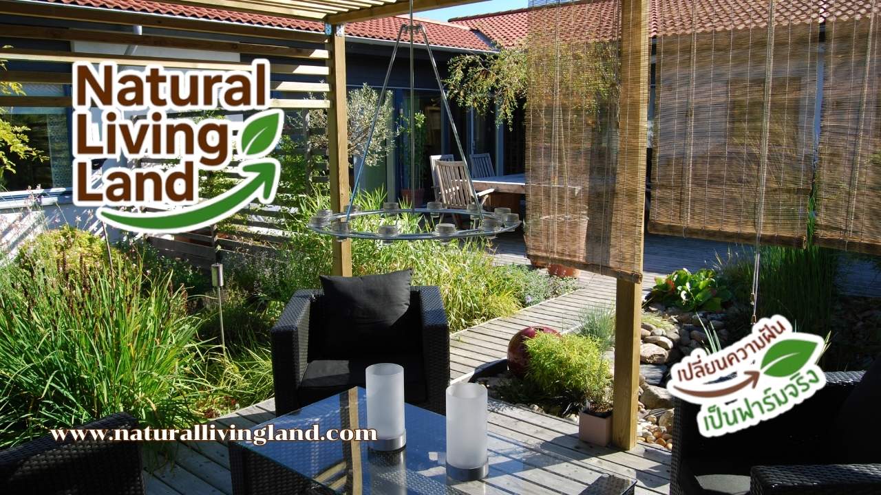 วางแผนเกษียณอายุ