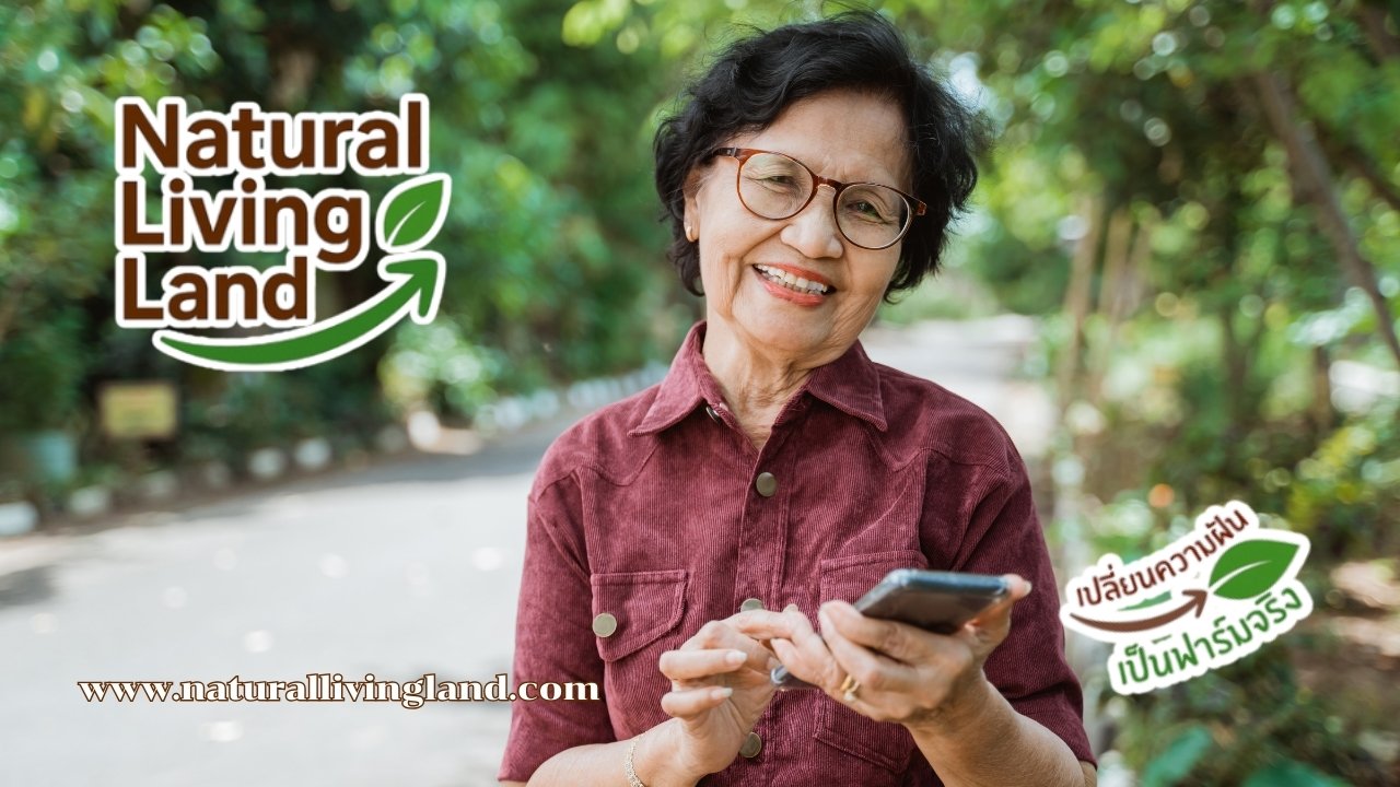 วางแผนใช้ชีวิตในวัยชรา