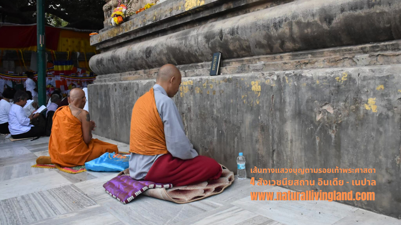 พระสงฆ์สวดมนต์ในพุทธคยา