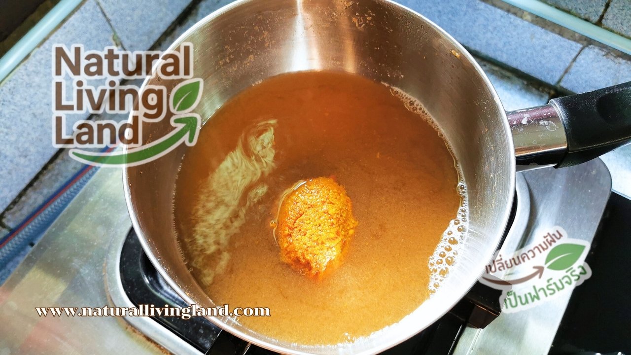 ทำแกงส้มกุ้งกับออดิบ