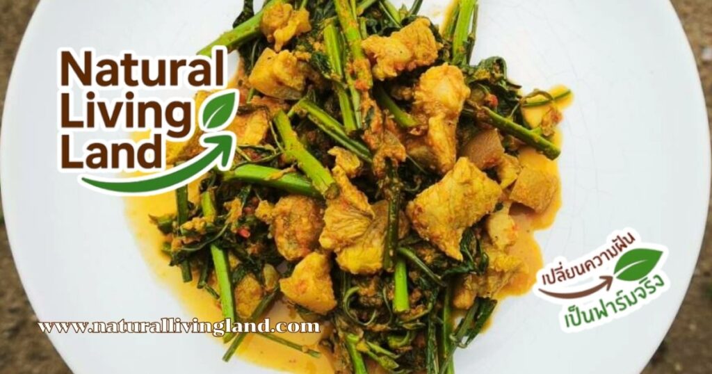 ผักกระเฉดผัดพริกแกง