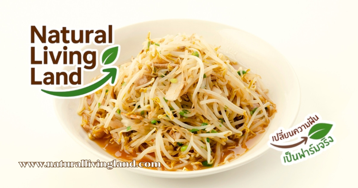 ทำผัดถั่วงอก