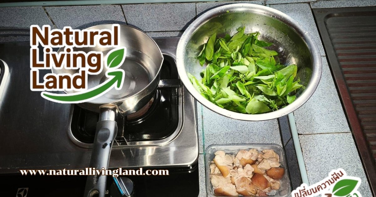 ทำแกงเลียงผักหวาน