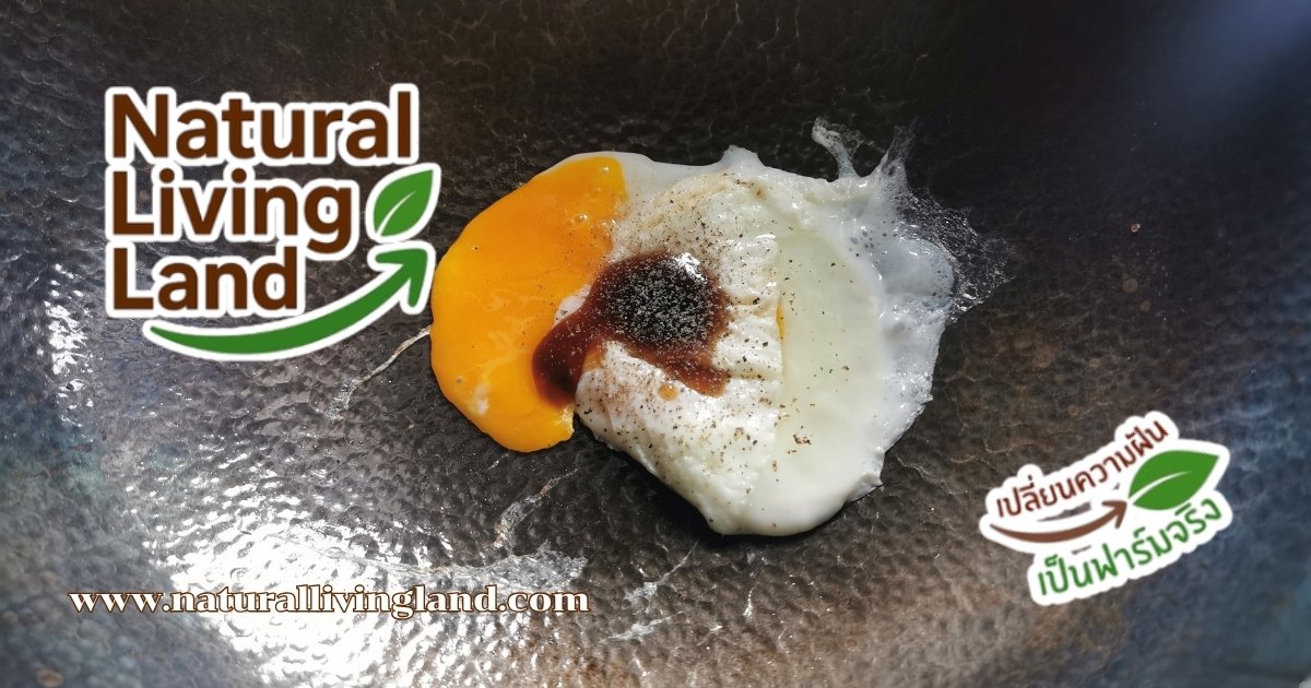 ทำใบเหลียงผัดไข่