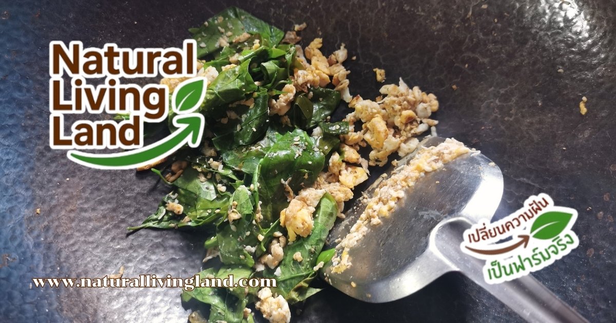 เคล็ดลับทำผัดใบเหลียง