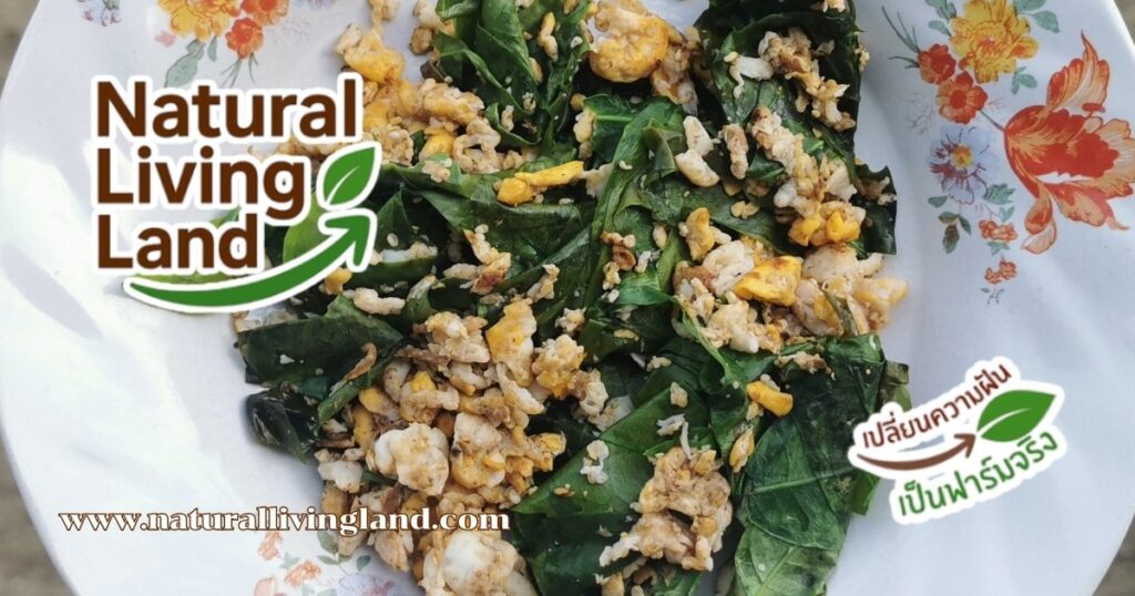 ใบเหลียงผัดไข่