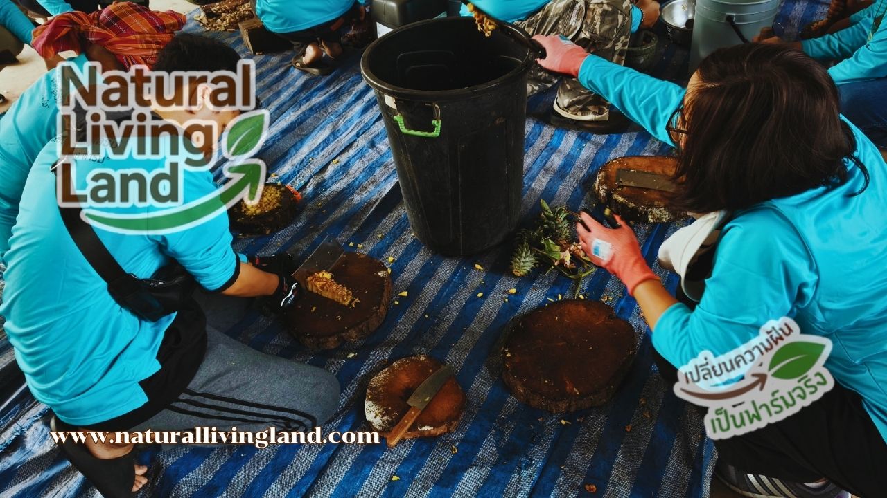 การทำปุ๋ยยูเรียน้ำ