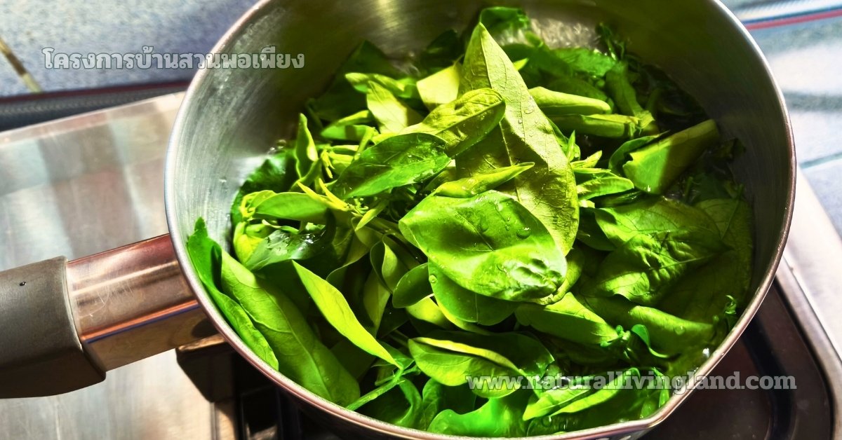 เคล็ดลับทำแกงเลียง