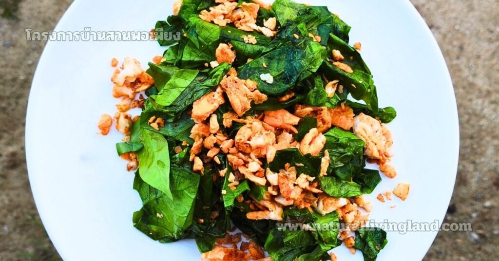 ใบเหลียงผัดไข่