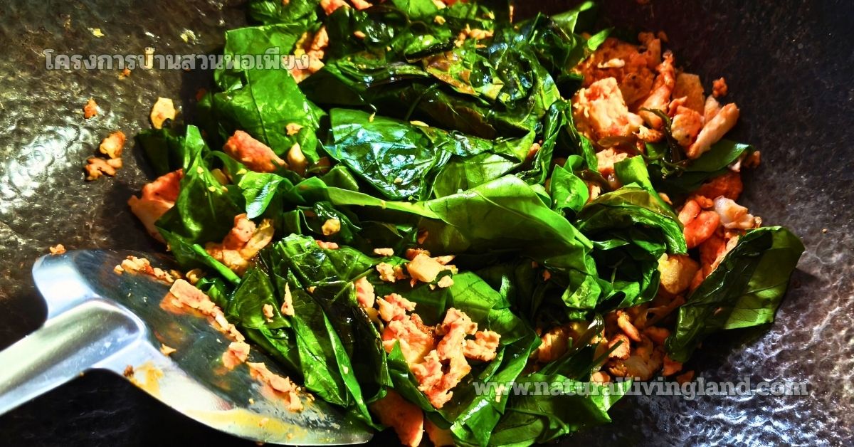 ทำใบเหลียงผัดไข่ให้น่ากิน