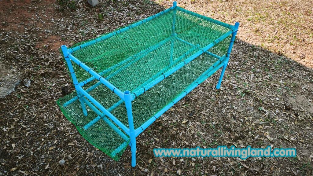 ทำกรงเลี้ยงนกกระทา