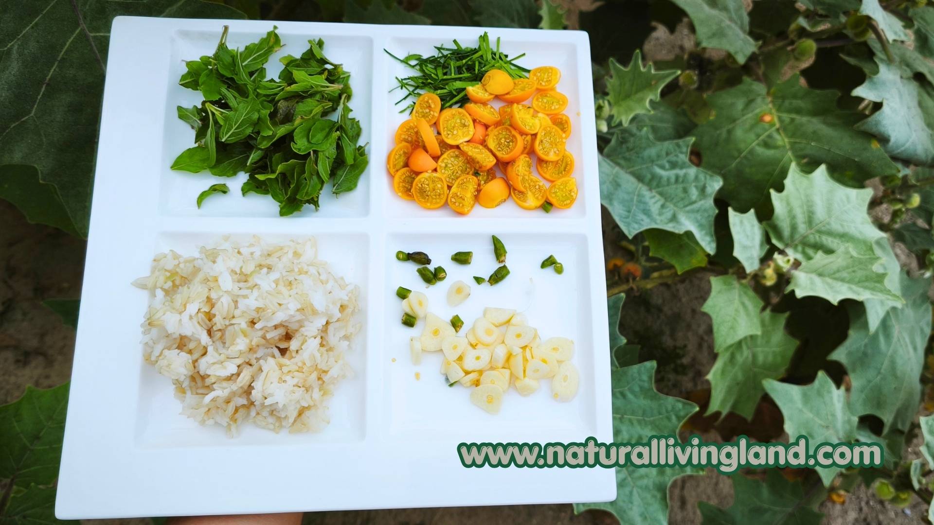 ทำข้าวผัดทูน่า