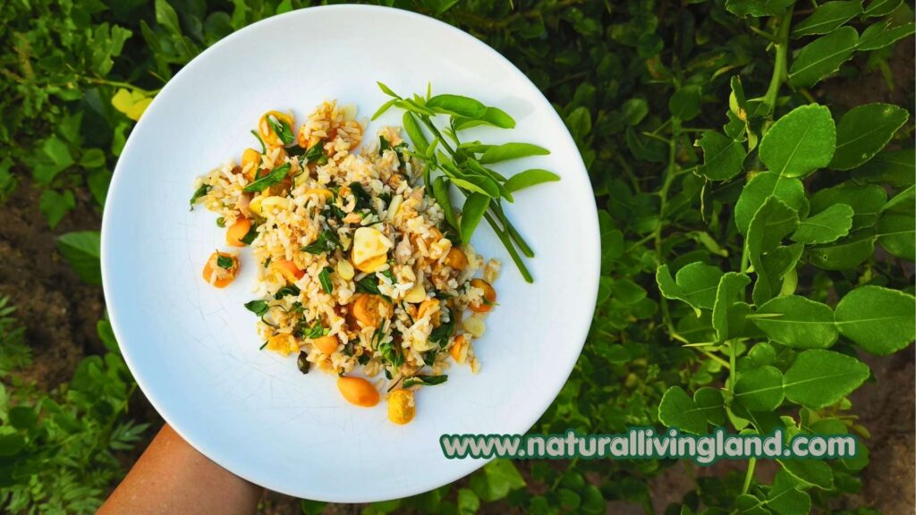 ข้าวผัดทูน่า