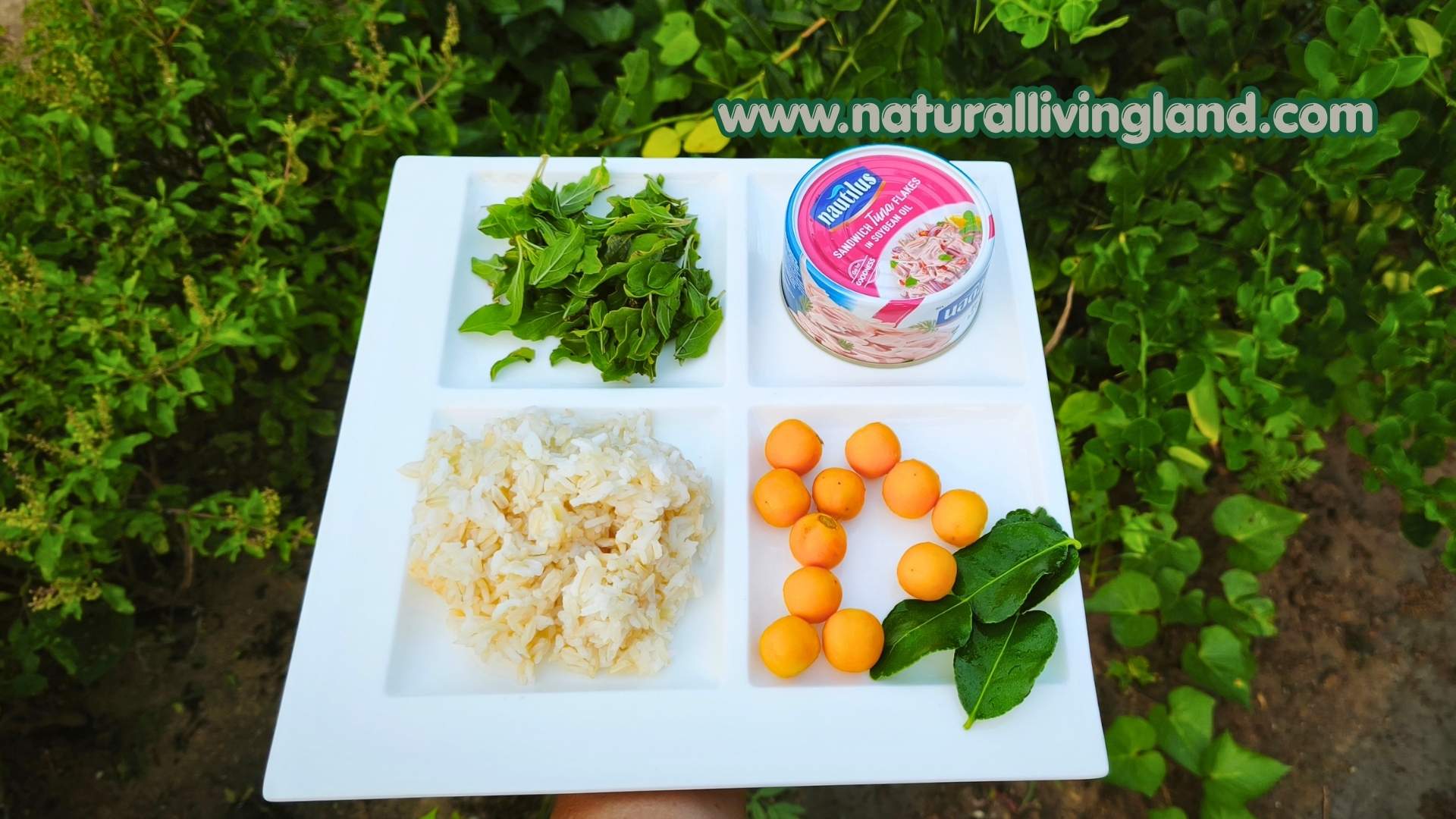 ทำข้าวผัดทูน่า