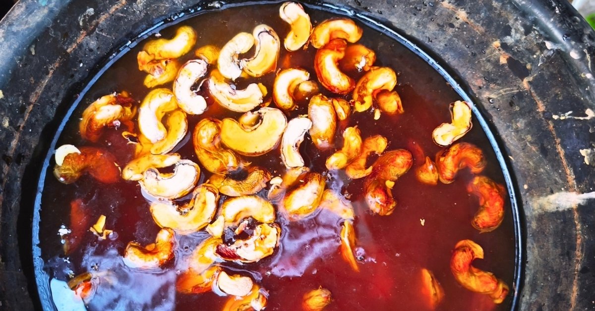 แกะเม็ดมะม่วงหิมพานต์