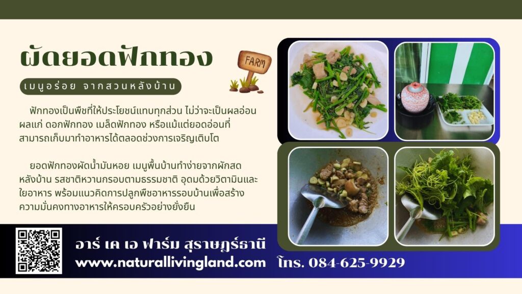 ยอดฟักทองผัดน้ำมันหอย