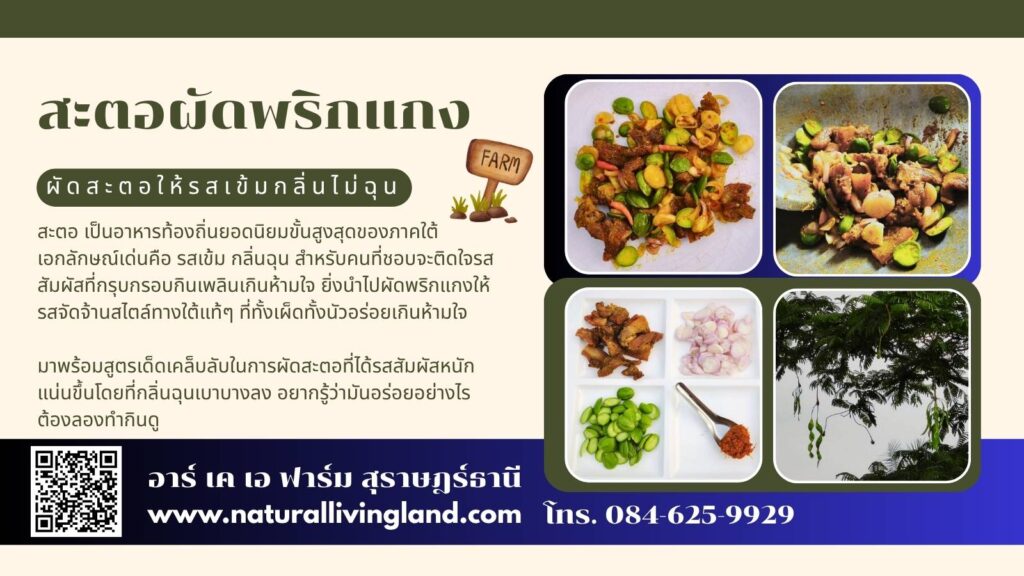 ผัดสะตอให้น่ากิน