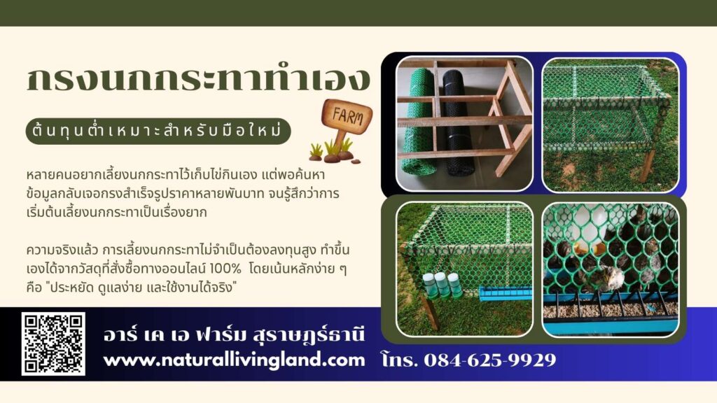 กรงนกกระทาทำเอง
