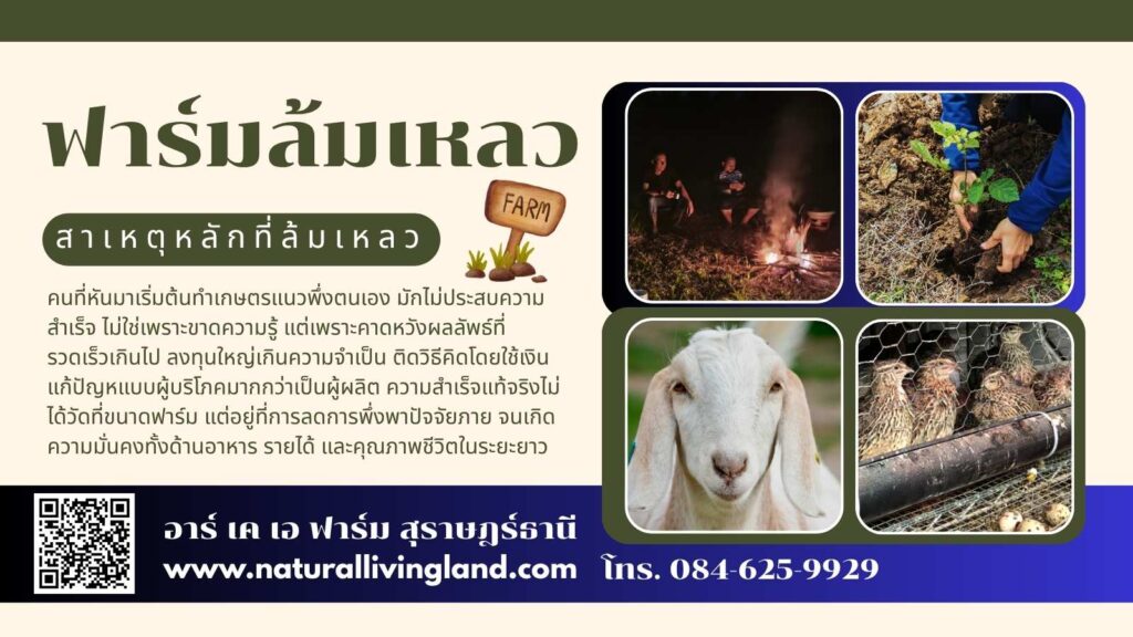 ฟาร์มล้มเหลว