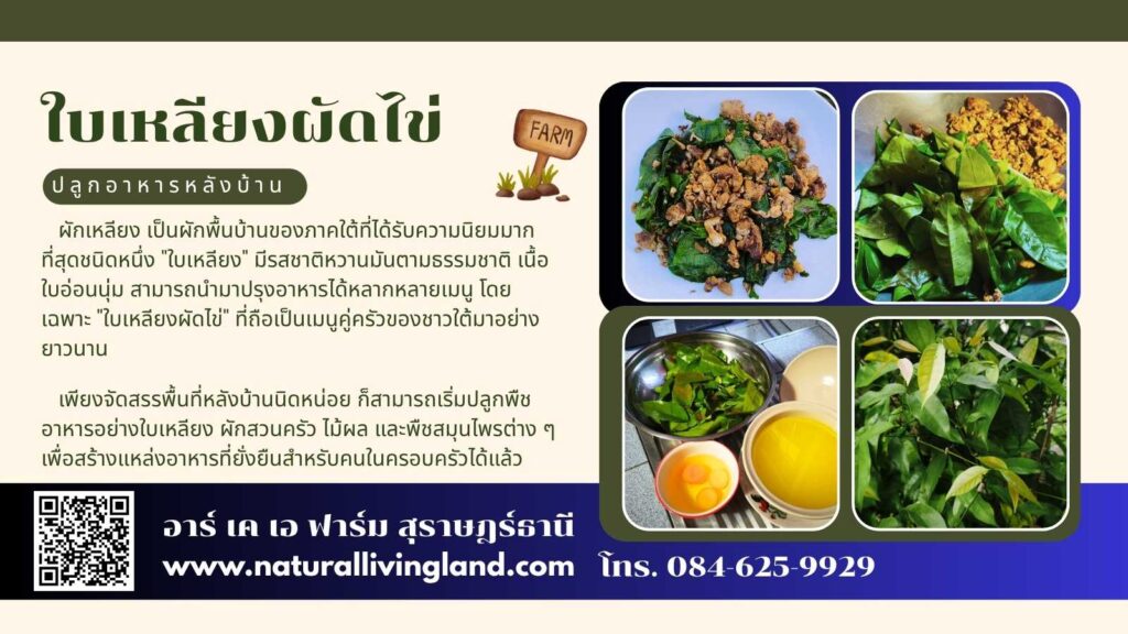 ทำใบเหลียงผัดไข่