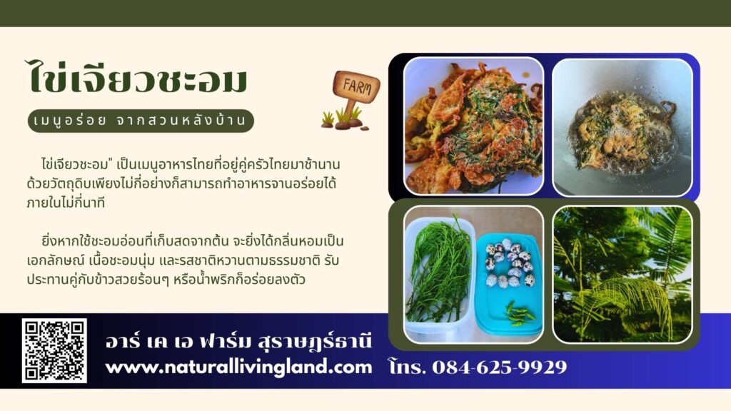 ไข่เจียวชะอมทอด