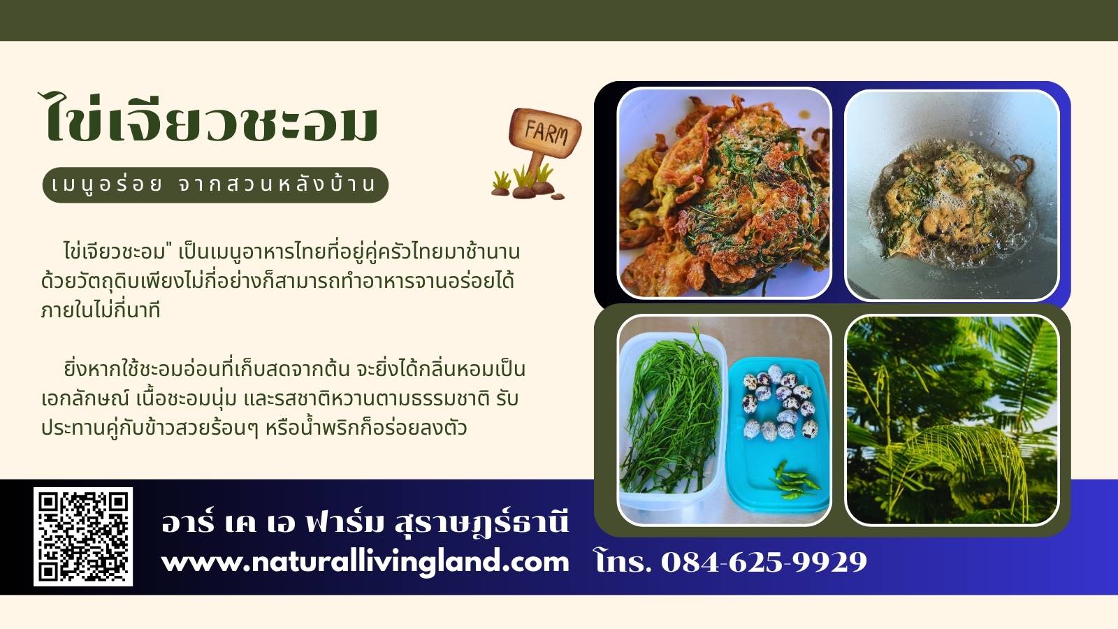 ไข่เจียวชะอมทอด