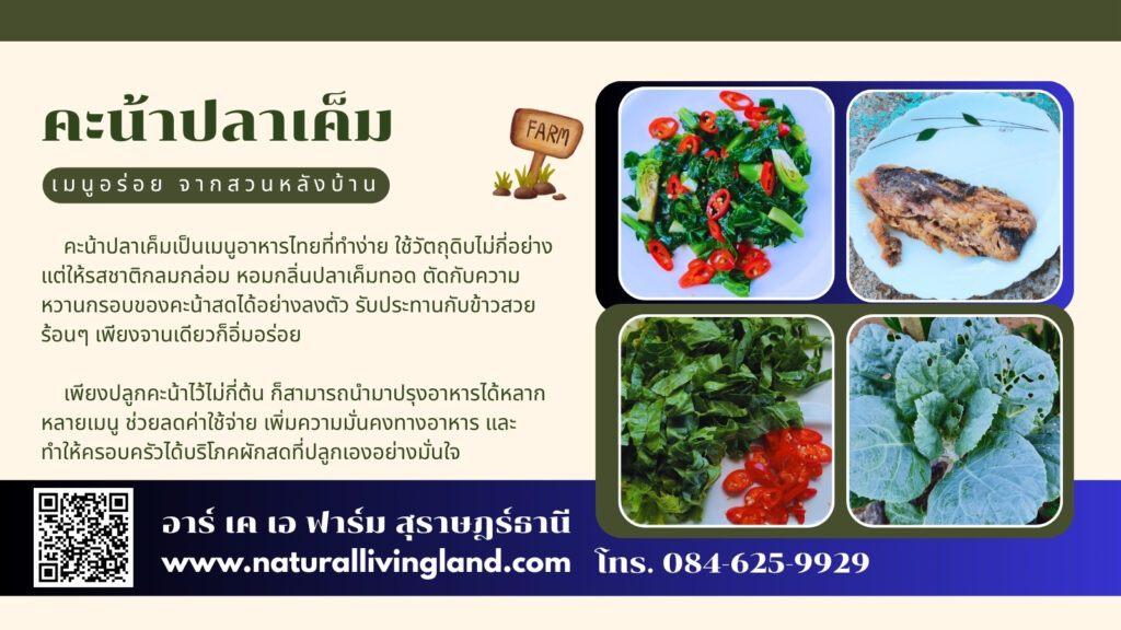 ผัดคะน้าปลาเค็ม
