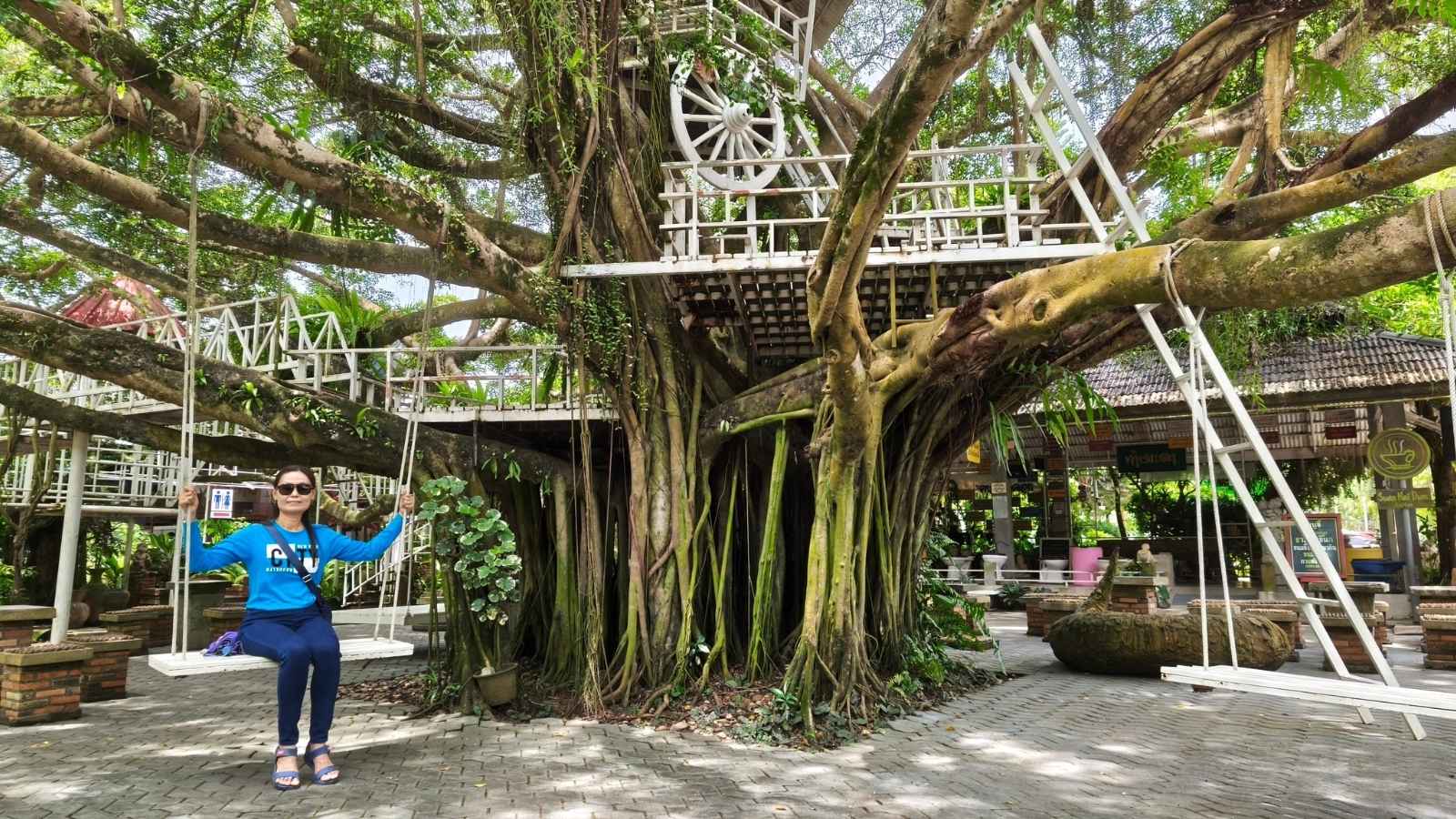 เที่ยวสวนนายดำ ชุมพร