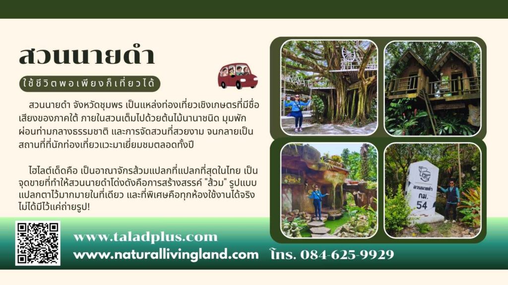 สวนนายดำ ชุมพร
